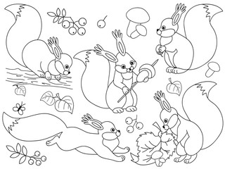 Vector Forest Squirrels Set.  Squirrels Clipart Vector Illustration. 