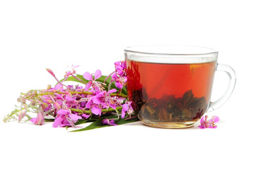 Ivan-tea on white