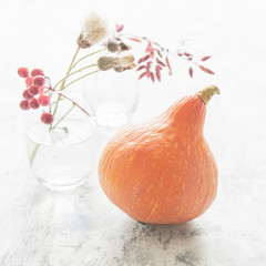 Autumn still life with whole pumpkin and berries on white background. Minimal. Selective focus. 