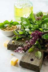 Ingredients for cooking green pesto sauce - fresh basil, cheese, pine nuts and olive oil. Healthy Italian cuisine.
