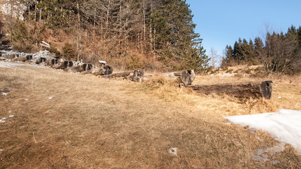 Landscape view of wooden watering trough on meadow with dry grass. Green forest in the background. Korita, Istra, Croatia, Europe.