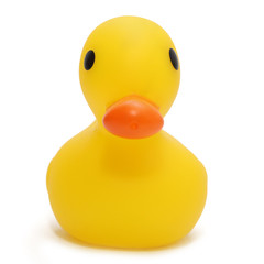 yellow rubber duck