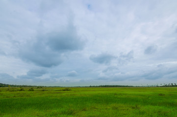 Fototapeta na wymiar Green feild and blue sky with clouds