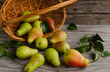 Lot of ripe pears spilled out of a basket