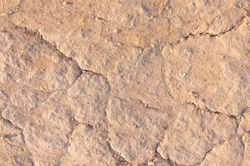 Texture of the ground, soil close-up