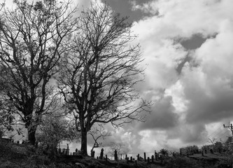 Black and white silhouette of graveyard and cloudy sky on the background