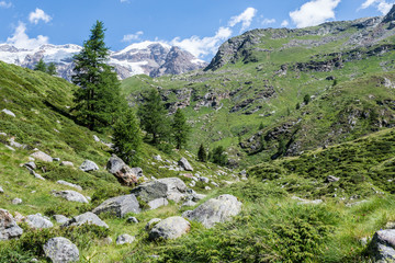 Fototapeta na wymiar Gressoney Valley (Monte Rosa) in Italy