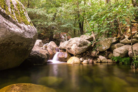 Source d'eau dans la forêt des aiguilles de Bavella en Corse