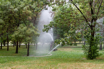 Watering the grass in the park