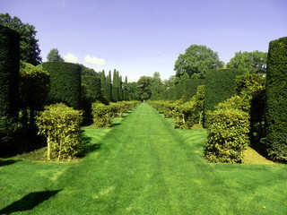Fototapeta na wymiar Avenue of Box and Hornbeam topiary found in Eyrignac Manor Garden, Dordogne, France