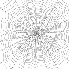 Obraz premium Spider web isolated on white, vector illustration