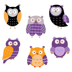 Set of cute Owls.