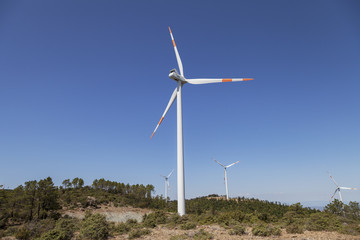 Fototapeta premium Windkraftanlage in der Toskana 