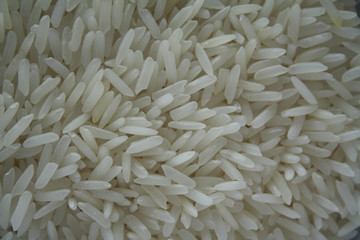 Close up of grains of jasmine rice, white grains closeup,Basmati rice background, Unpolished, uncooked, natural, diet, raw for traditional asian cuisine, dish, Popular agriculture cereal