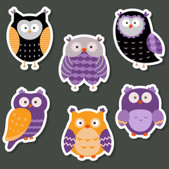 Set of cute Owls.