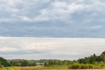 rural landscape on a cloudy gray sky background