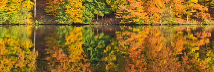 Forest lake in colorful autumn forest.