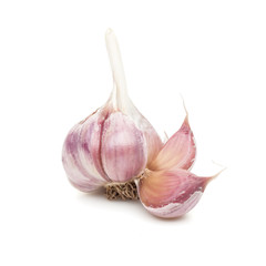 garlic isolated on white background