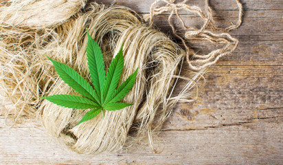 Marijuana leafs on top of hemp fibers