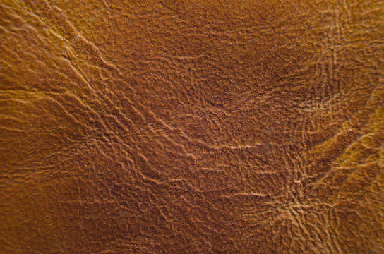 Brown Leather Texture. Close up of old brown leather background