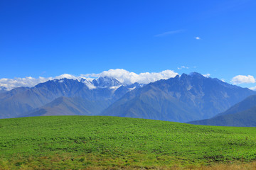 potato field in the high mountains