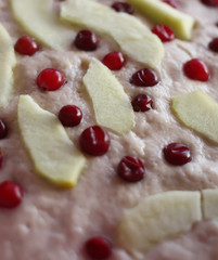 Homemade sweet apple pie with cranberries.
