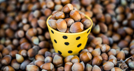 hazelnuts in yellow cup