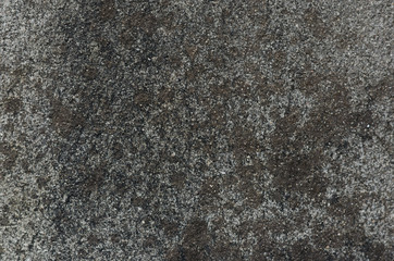 old concrete wall dirty covered by fungus.