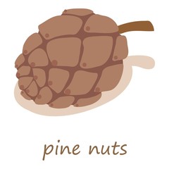 Pine nuts icon, isometric 3d style