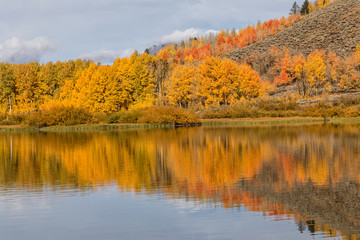 Scenic Autumn Landscape Reflection