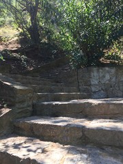 Rincón romántico con escalera y plantas
