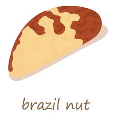 Brazil nut icon, isometric 3d style