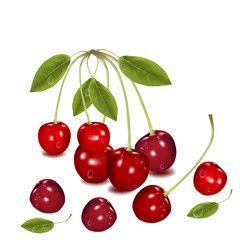 Collection of delicious ripe cherries, on a white background.