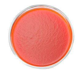 tomato juice isolated on white background. top view