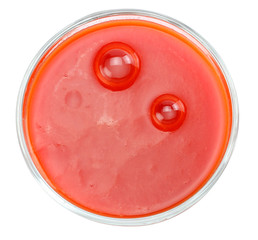 tomato juice isolated on white background. top view