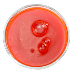 tomato juice isolated on white background. top view