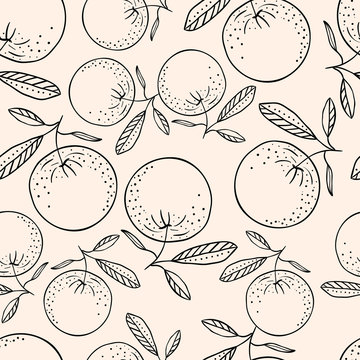 Hand drawn seamless pattern background with oranges