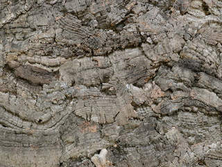 Kork gepresst, natürlicher Rohstoff, Textur
