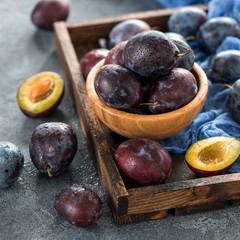 Obraz premium Fresh plums, autumn fruit, healthy eating, square image