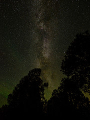 Beautiful milky way galaxy on a night sky and silhouette of tree with cloud, Long exposure