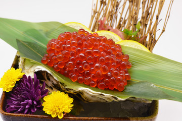 Close-up ikura sashimi (Salmon roe) in black bowl Japanese style on white background
