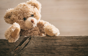 Teddy bear on wooden background