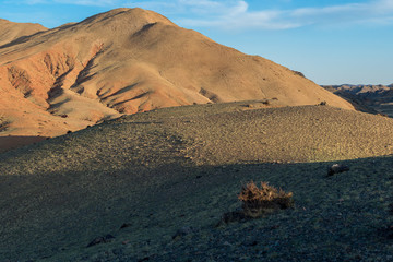 Panoramic view of picturesque landscape with plants on hills 