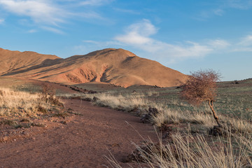 Panoramic view of picturesque landscape with plants on hills 
