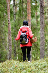 young woman in red jacket enjoying nature in forest. Latvia