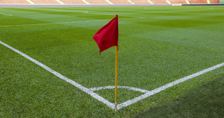 Green empty football / soccer field grass © AbdulRazak
