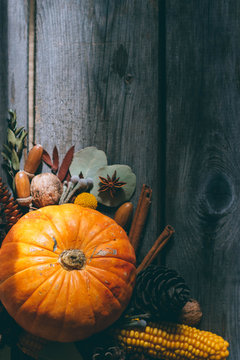 Autumn background, pumpkin, acorns, corns, leaves, corn,cinnamon, anise on wooden boards. Top view, copy space.
