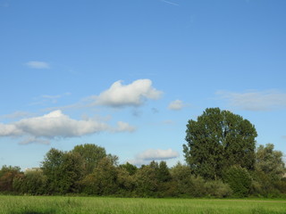 Fototapeta na wymiar himmel, cloud, baum, landschaft, natur, green, sommer, blau, land, weiss