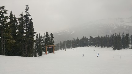 Alpine Ski Slope