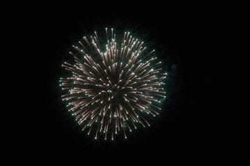 Festive fireworks in the dark sky